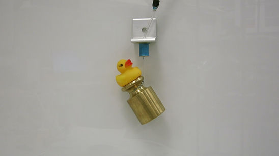 IPAM Lifting and Launching ICRA Duck